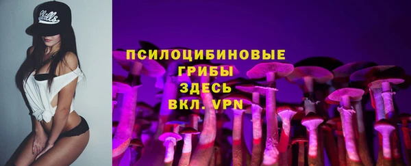 хмурый Алзамай