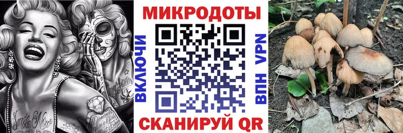 Псилоцибиновые грибы Psilocybe дарнет шоп Новая Ляля
